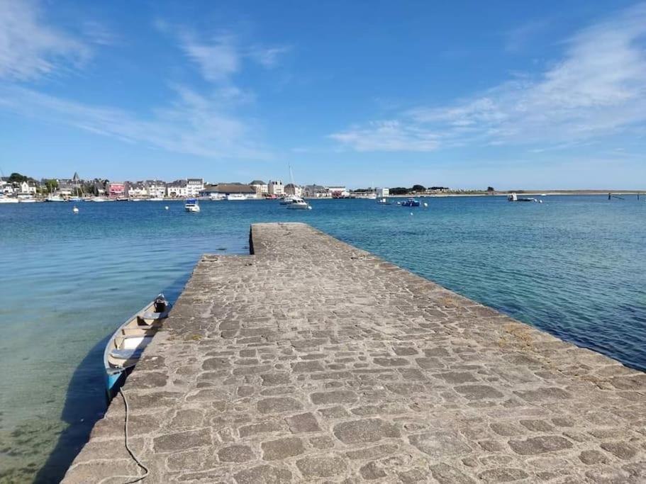 Chalet Cosy, Plages A Pieds. Morbihan. Plouhinec  Экстерьер фото